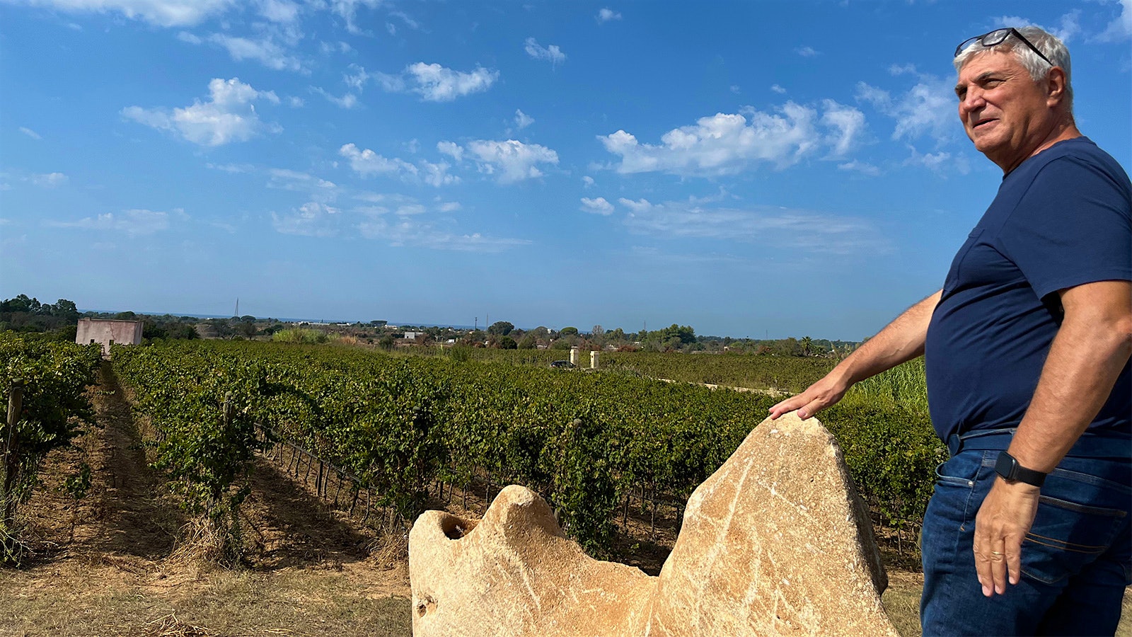 Tenuta Liliana owner Antonio Intiglietta looks out over his vineyards in Puglia
